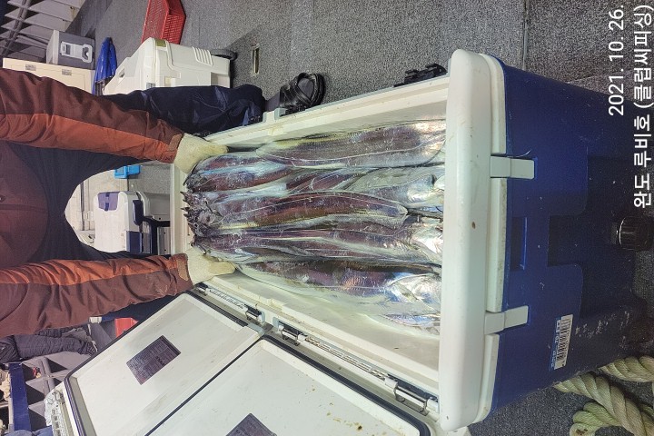 10월25일 루비호 만쿨조황