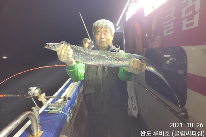 10웧26일 루비호 갈치조황입니다