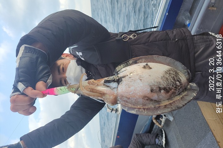 3월20일 루비호 갑오징어 조황입니다