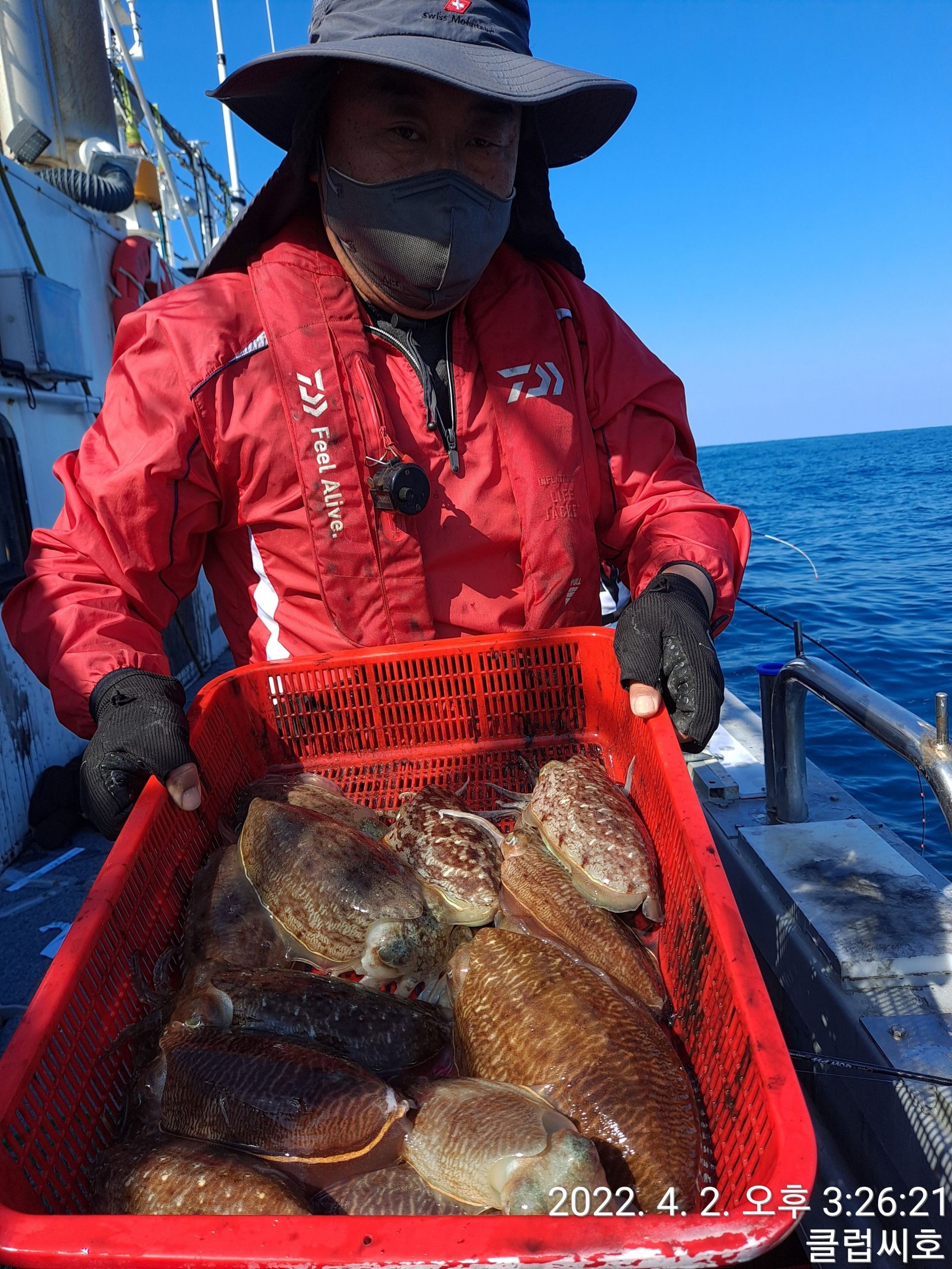4월2일 클럽씨호 먼바다 갑오징어조황
