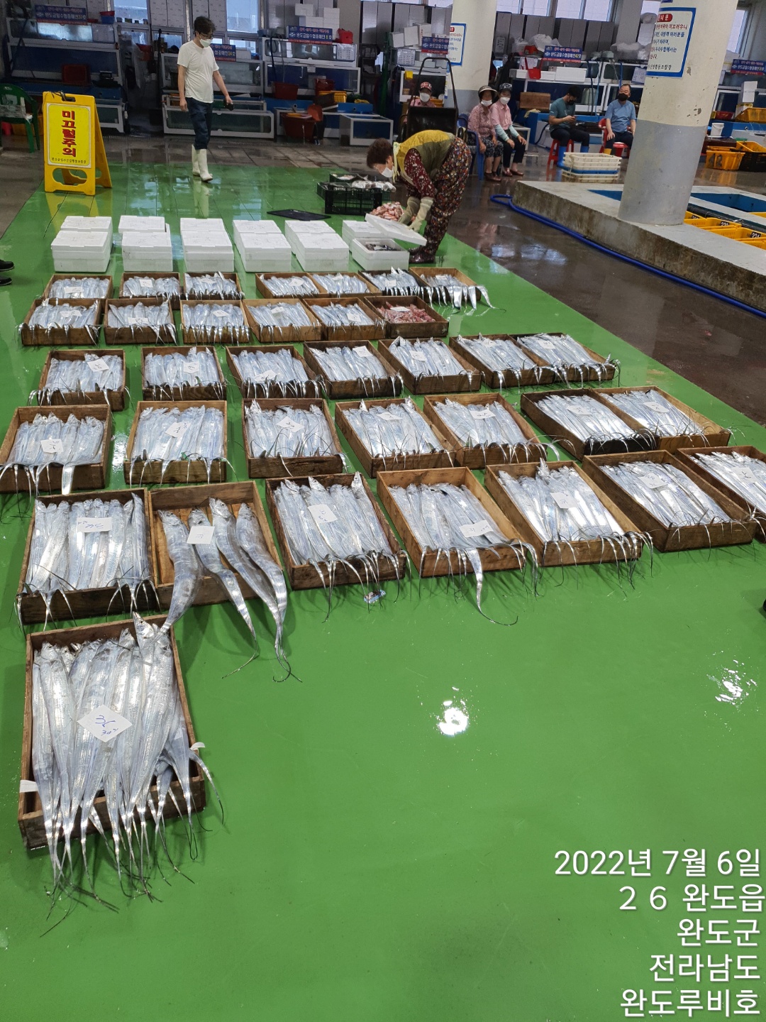 루비호 7월5일 갈치조업량(6명)