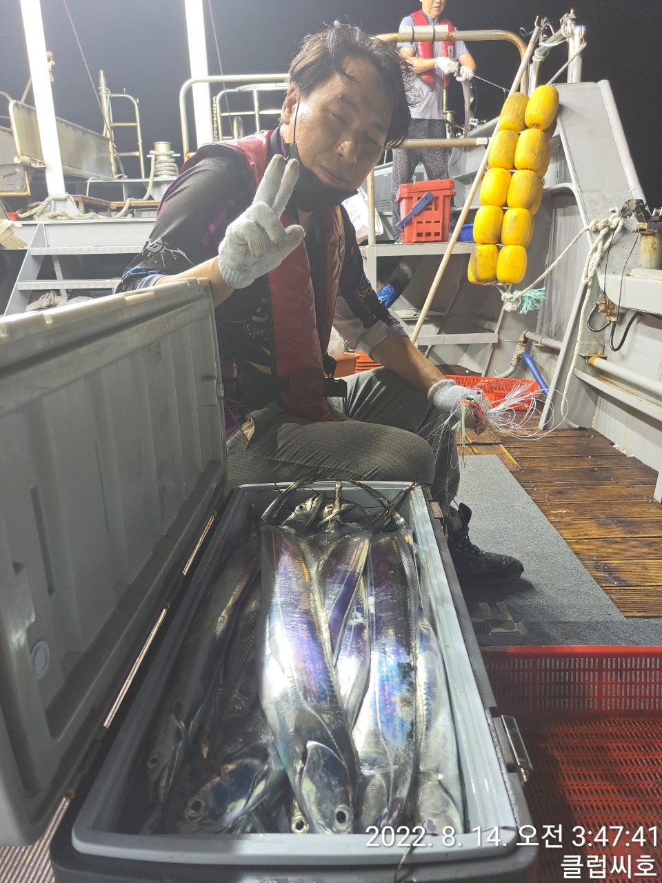 8월13일 클럽씨호 갈치조황입니다