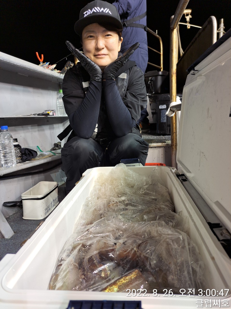 8월25일 클럽씨호 한치조황입니다