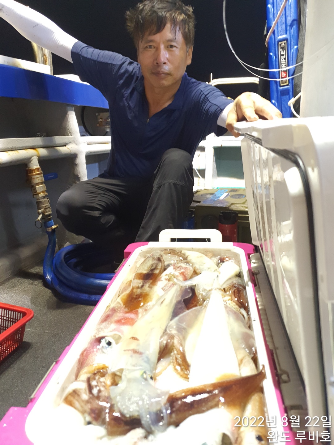 8월21일 완도 루비호 한치조황