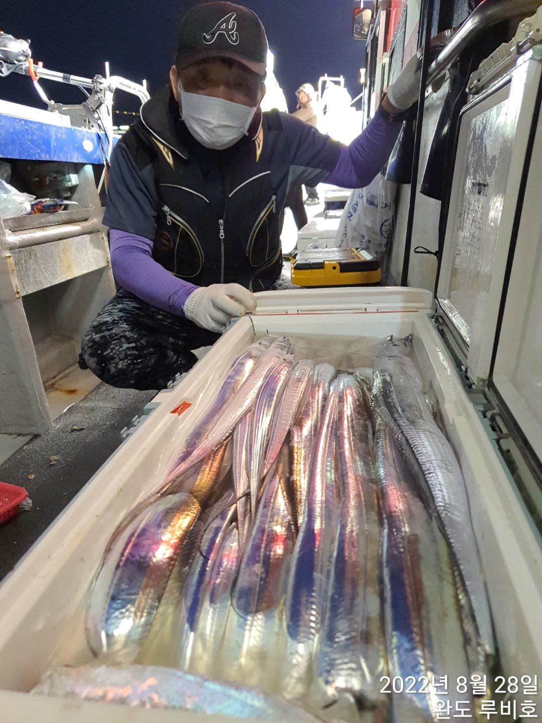 8월27일 완도 루비호 갈치조황 입니다