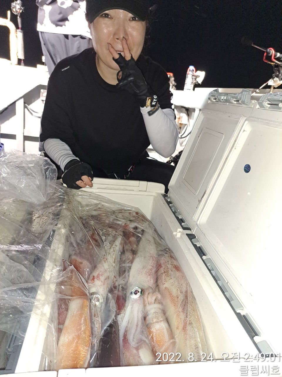 8월23일 클럽씨호 한치조황입니다