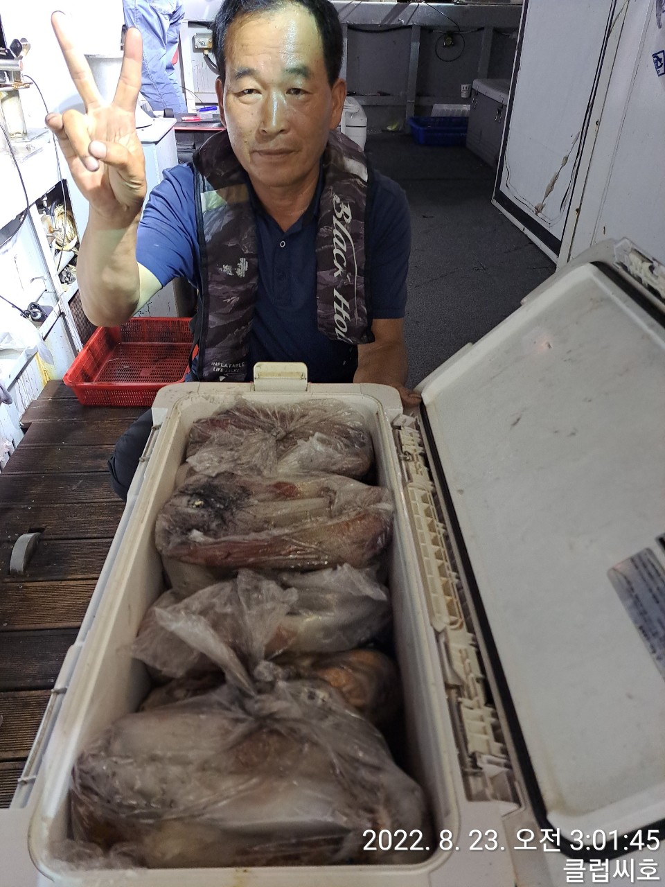 8월22일 클럽씨호 한치조황입니다