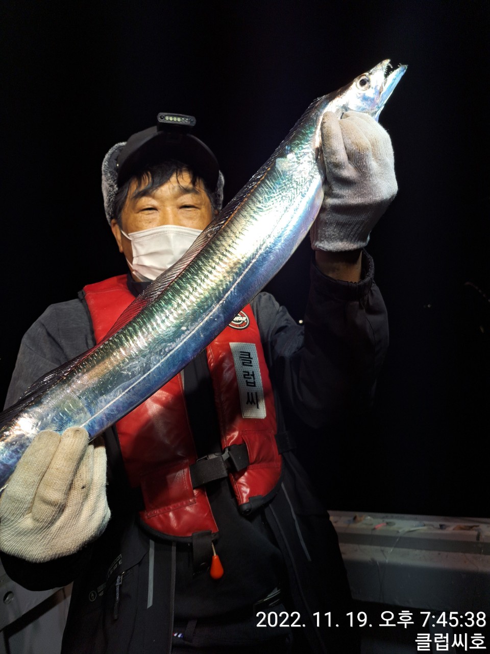 11뭘19일 클럽씨호 갈치 쿨러조황입니다