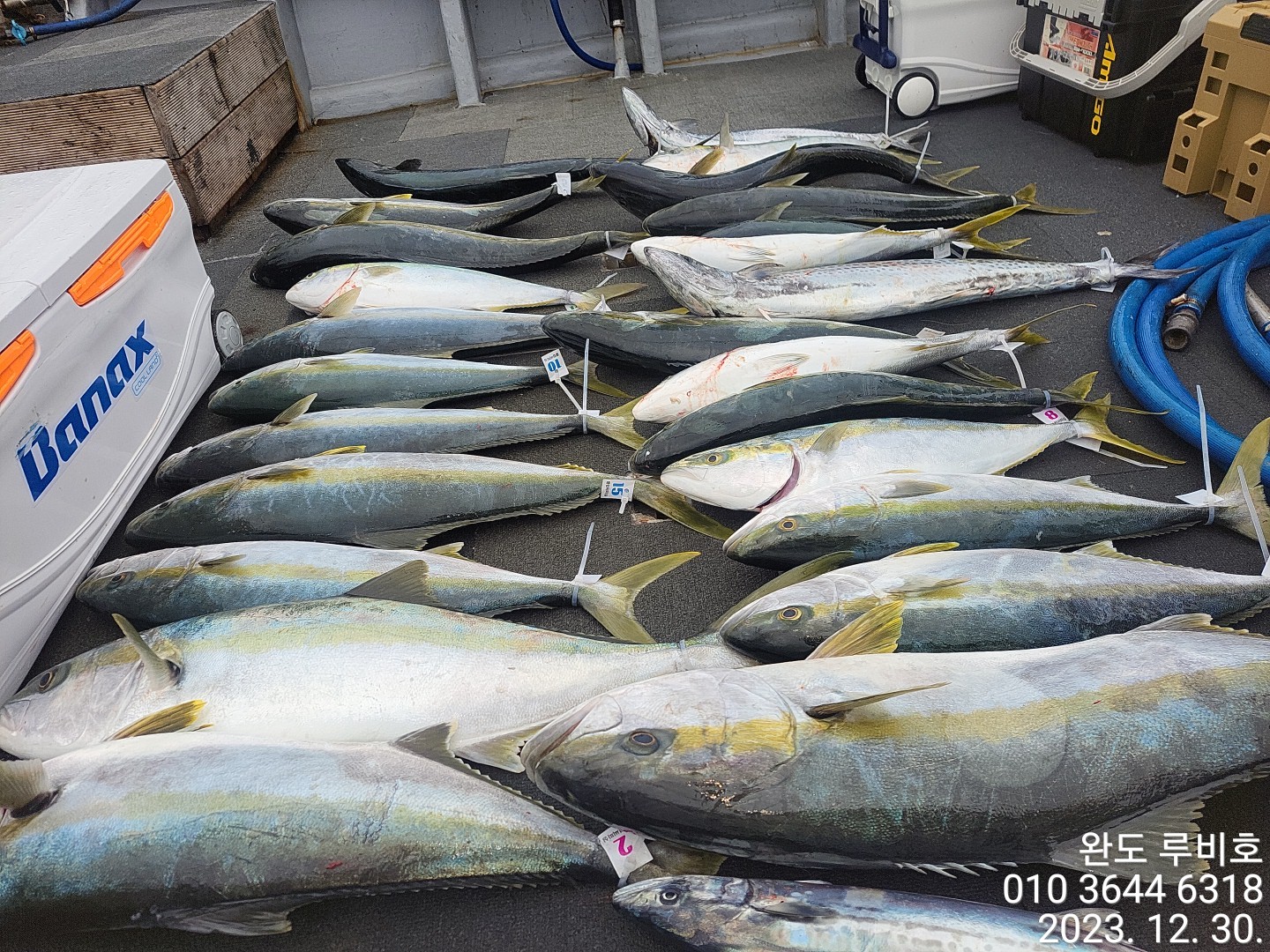 12월30일 루비호 빅게임 조황입니다