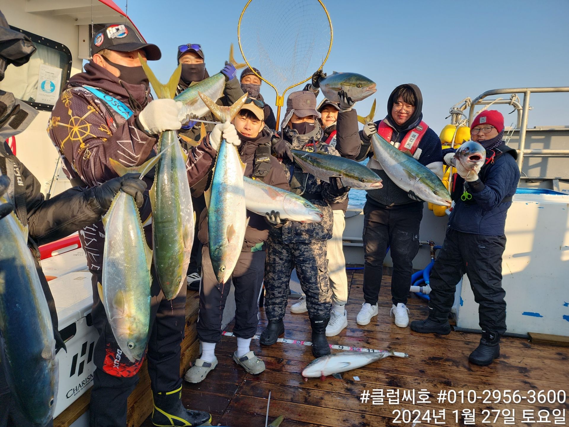 1월27일 클럽씨호 대방어 조황입니다.