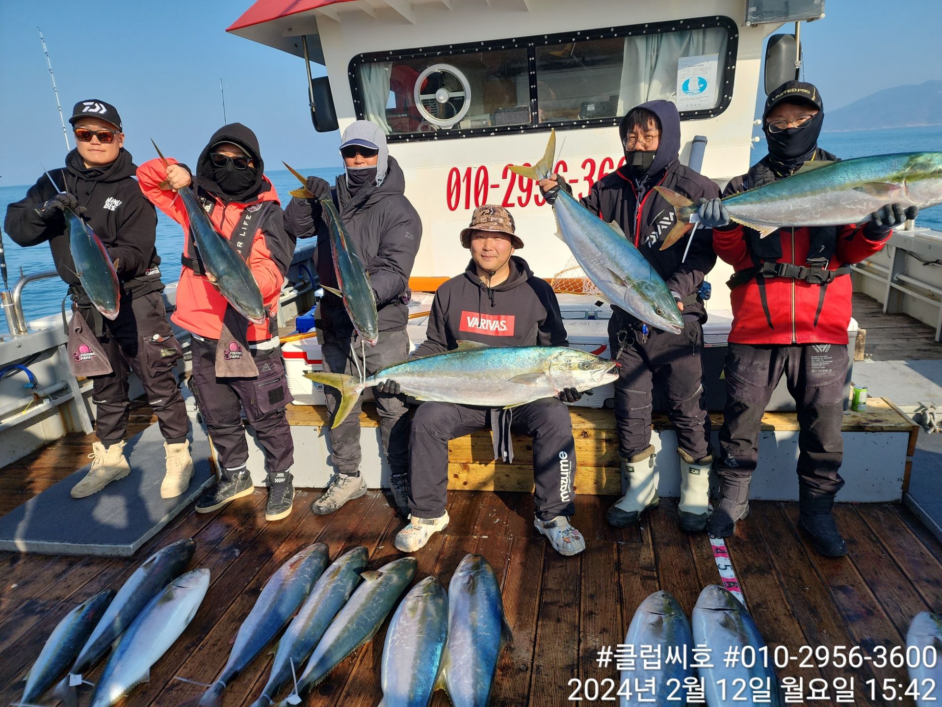 2월12일 클럽씨호 특방어 조황입니다