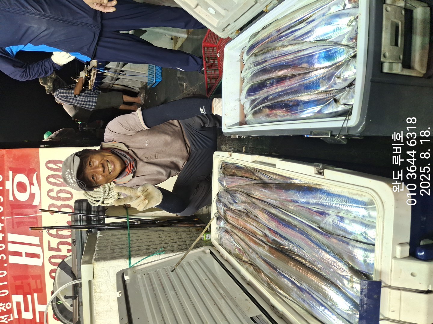 루비호 8월17일 갈치조황입니다