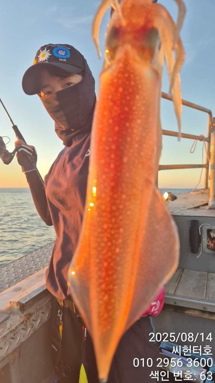 8월14일 목요일 씨헌터호(클럽씨호) 한치조황입니다
