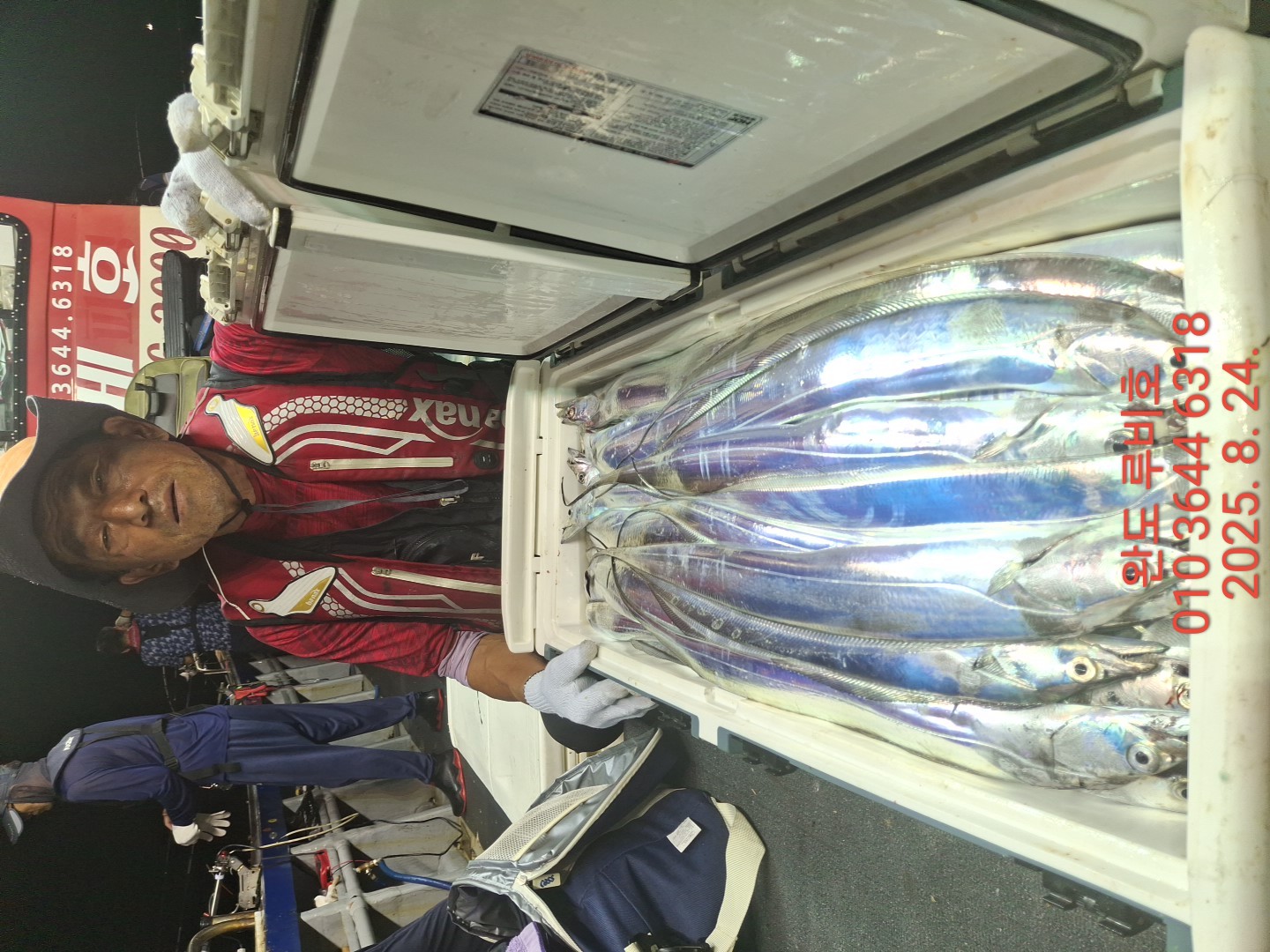 8월23일 루비호 갈치조황입니다