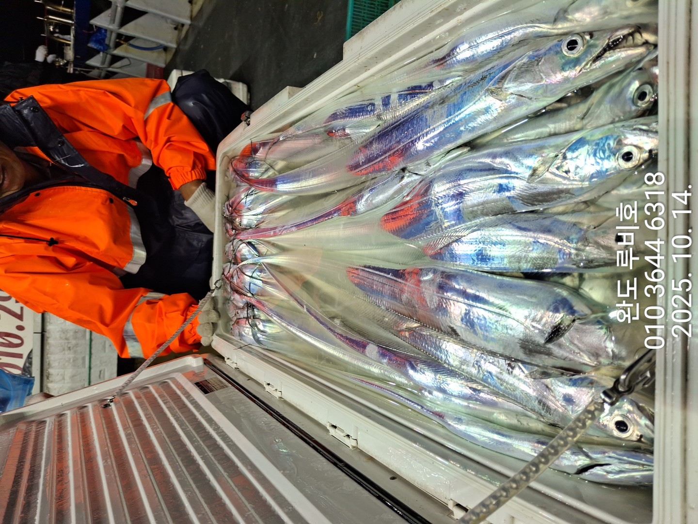 10월13일 루비호 갈치 조황입니다.