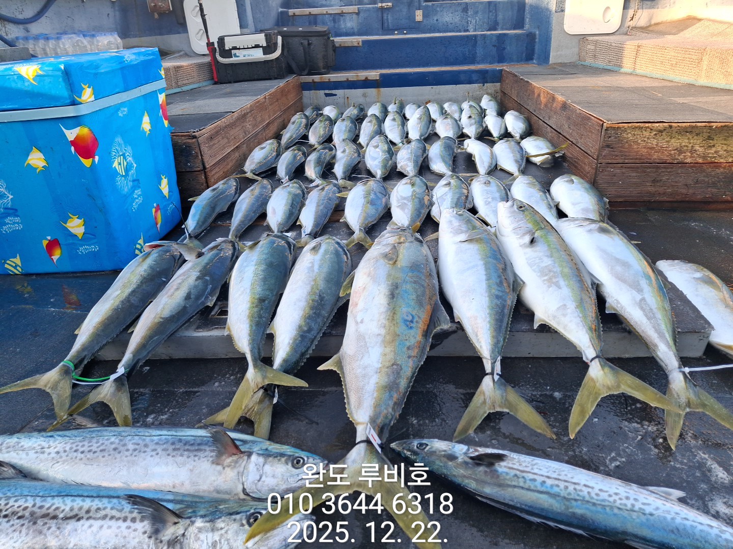 12월22일 루비호 방어조황입니다