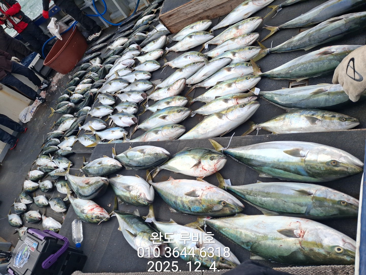 12월4일 루비호 방어조황 입니다