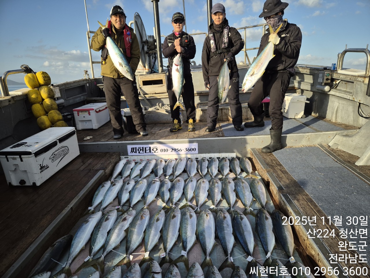 11뭘30일 일요일 씨헌터호 오늘도 방어 굿조황입니다