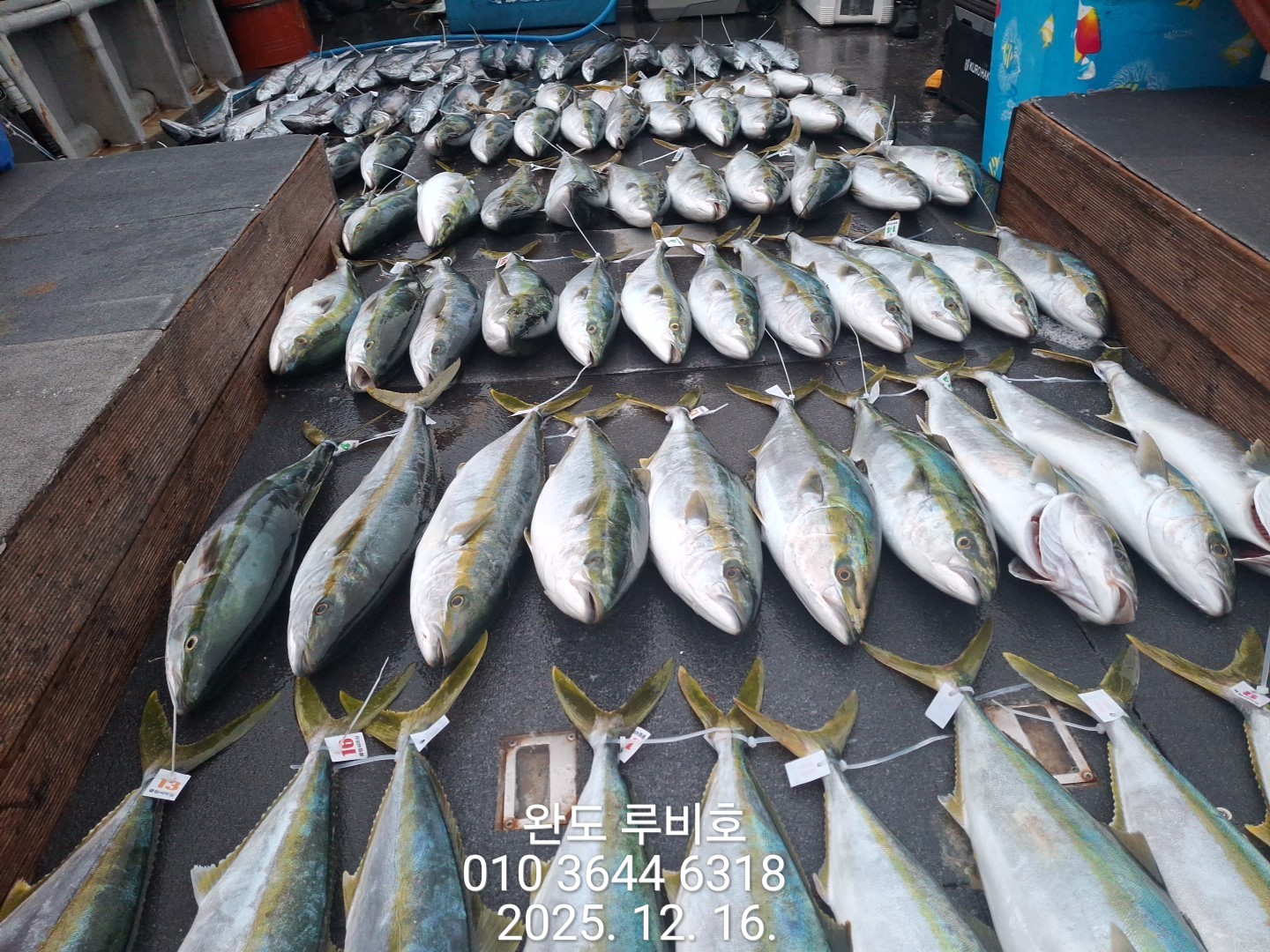 12월16일 루비호 방어조황 입니다.