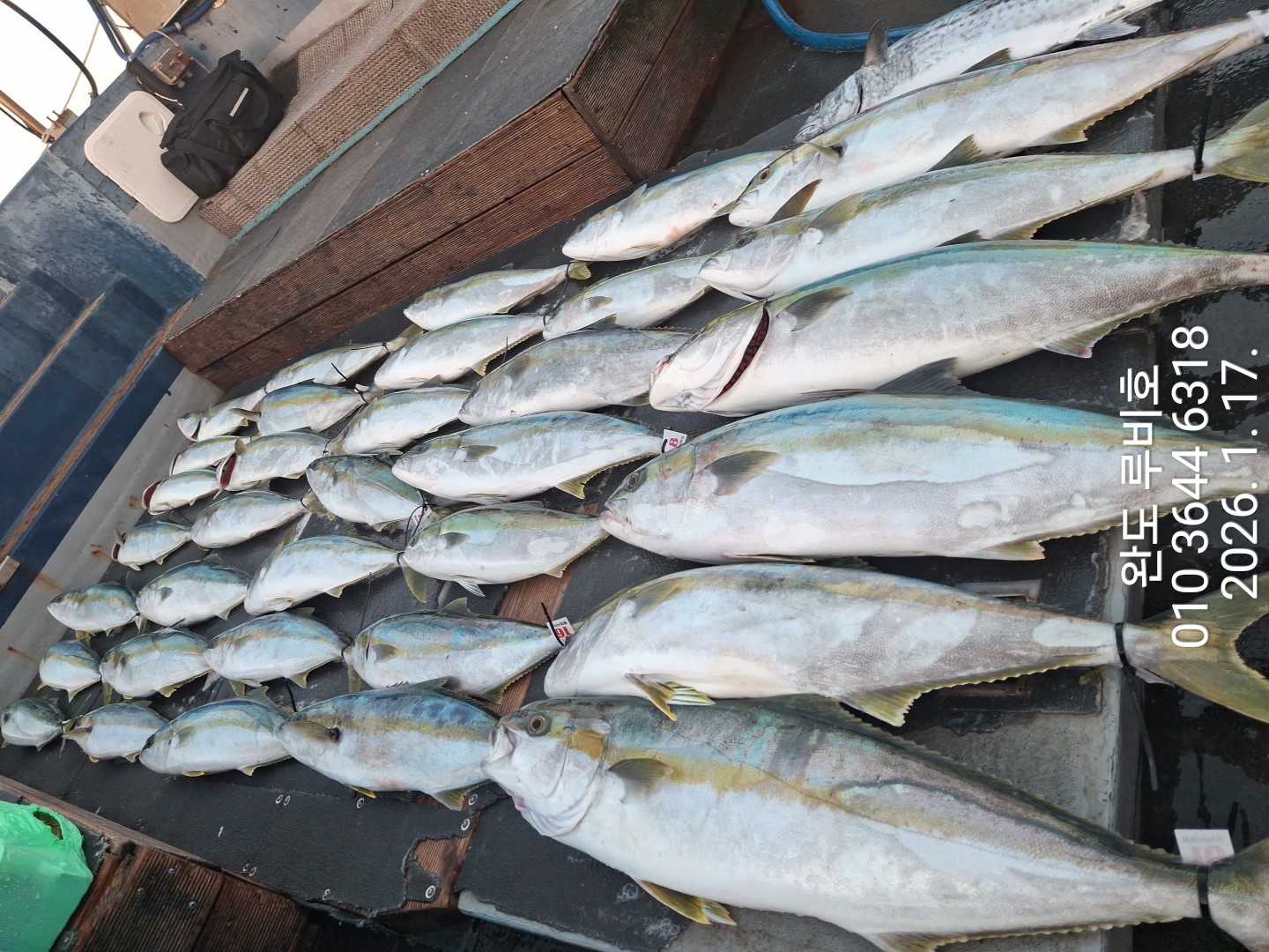 1월17일(토) 루비호 방어조황입니다