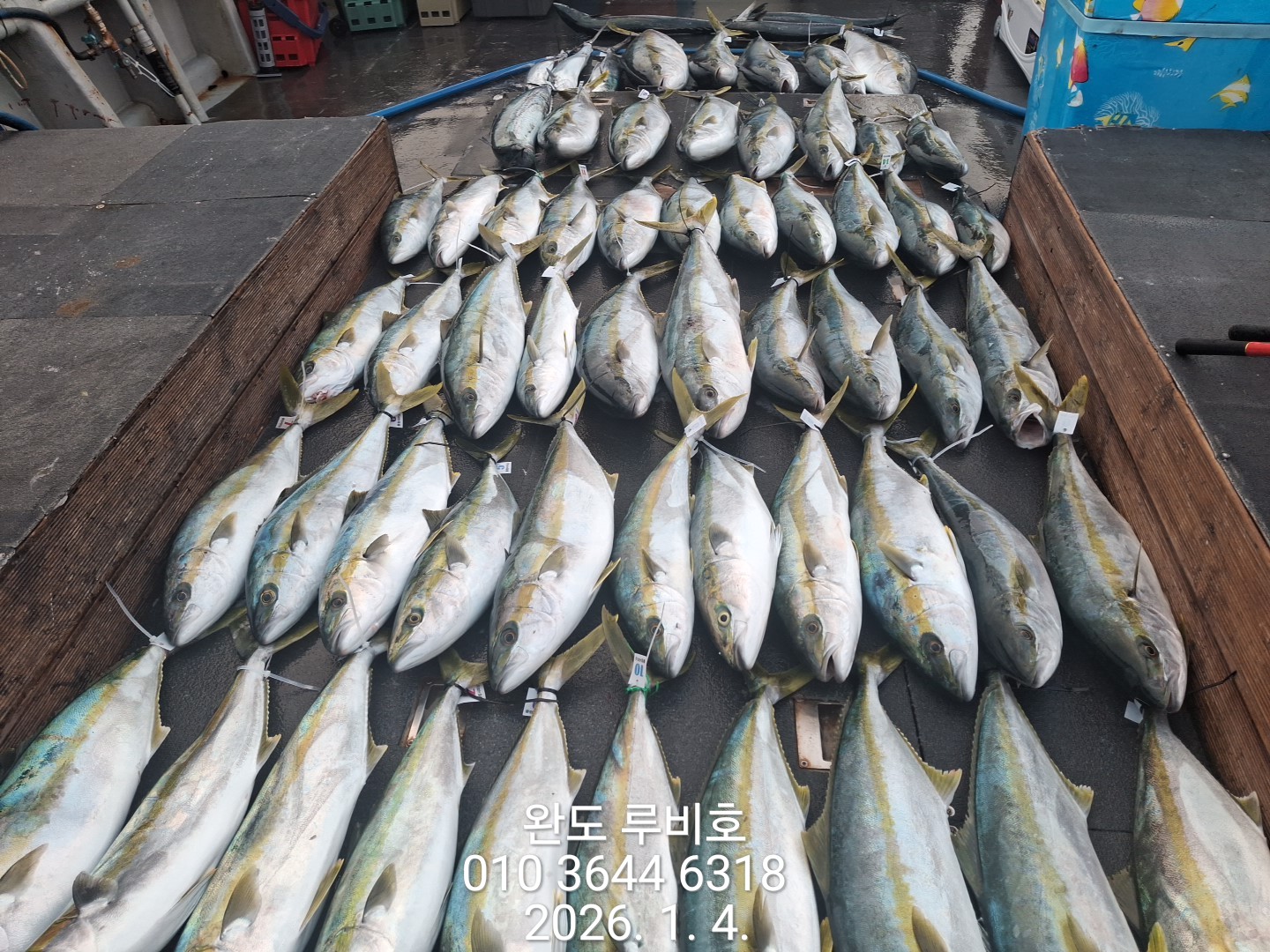 1월4일 루비호 방어조황입니다